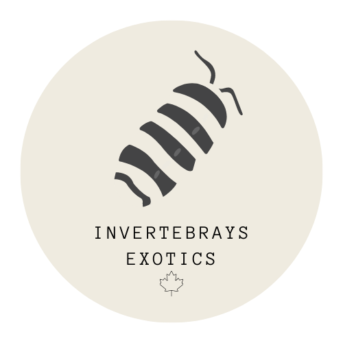 Invertebrays