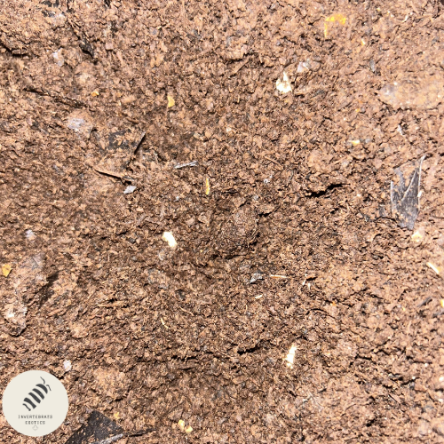 MILLIPEDE + ISOPOD BIOSTRATE (CALCIUM ENRICHED)