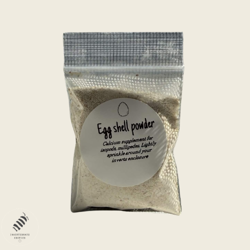 Egg Shell Powder